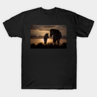 Sundown T-Shirt